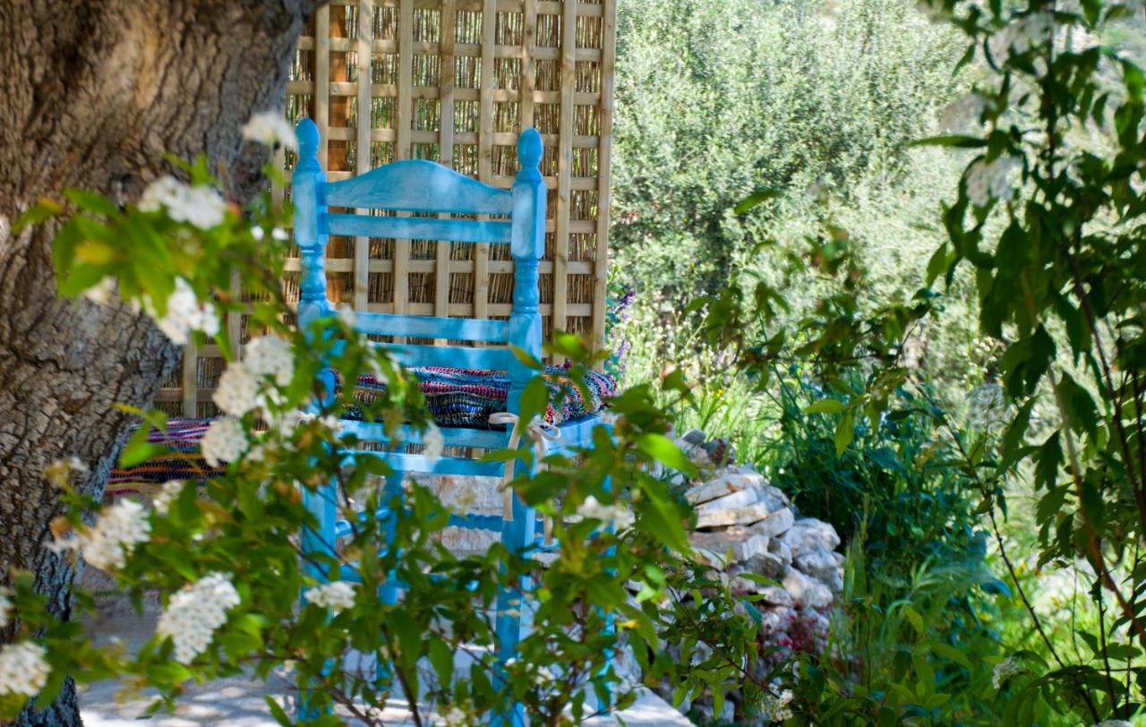 The Olive Cottage - Ithaca Vathy  Ngoại thất bức ảnh