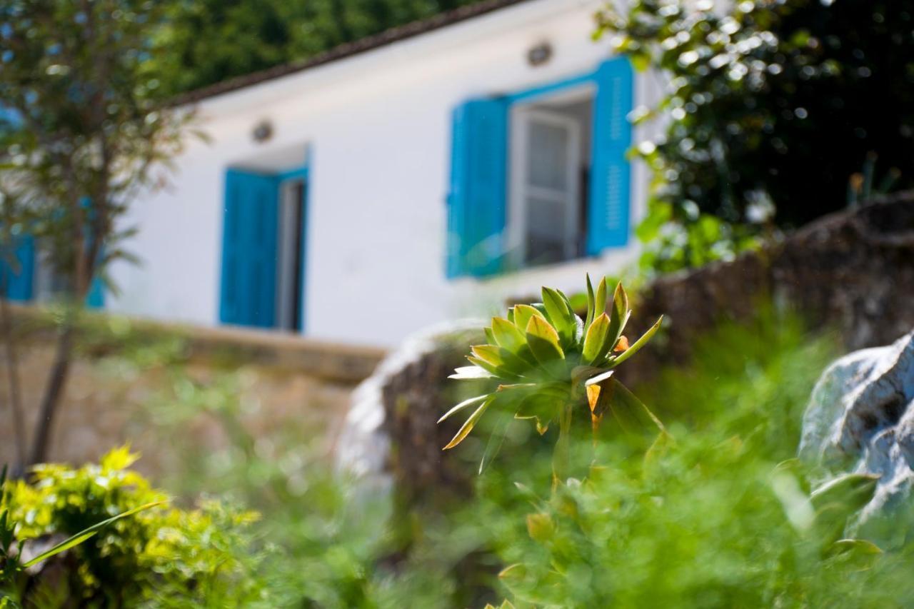 The Olive Cottage - Ithaca Vathy  Ngoại thất bức ảnh